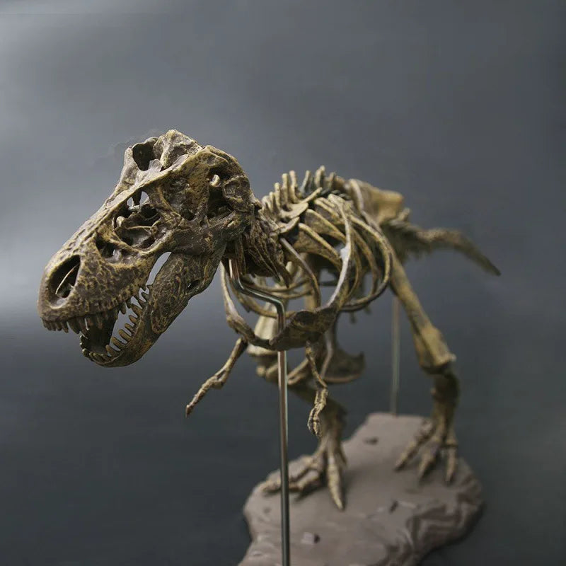 Tyrannosaurus Rex Skeleton Fossil Model 1:200
