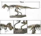 Tyrannosaurus Rex Skeleton Fossil Model 1:200
