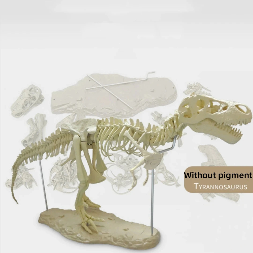 Tyrannosaurus Rex Skeleton Fossil Model 1:200